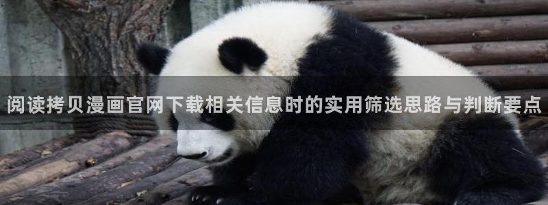 音乐漫画:阅读拷贝漫画官网下载相关信息时的实用筛选思路与判断要点