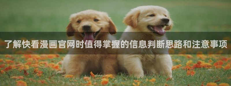 快看漫画:了解快看漫画官网时值得掌握的信息判断思路和注意事项