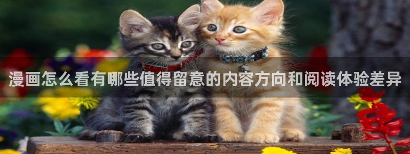 竞技漫画:漫画怎么看有哪些值得留意的内容方向和阅读体验差异